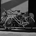 Bikes