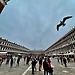 Bird photo bomb