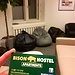 Bison Hostel