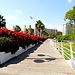 Blumenschlacht von Valencia