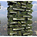 Bosco Verticale - primeira floresta vertical do mundo nasceu em 