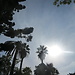 Botanical Garden and National Museum of History and Science: a L