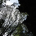 Botanical Garden and National Museum of History and Science: a L