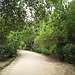 Botanical Garden and National Museum of History and Science: a L