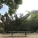 Botanical Garden and National Museum of History and Science: a L
