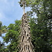 Botanical Garden and National Museum of History and Science: a L