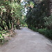 Botanical Garden and National Museum of History and Science: a L