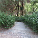 Botanical Garden and National Museum of History and Science: a L