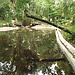 Botanical Garden and National Museum of History and Science: a L