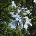 Botanical Garden and National Museum of History and Science: a L