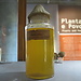 Botanical Garden and National Museum of History and Science: a L