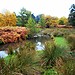 Bradgate Park