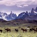 Bref résumé à propos de notre belle Argentine