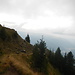 Bucegi 2015 - Malaesti