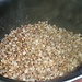 Buckwheat