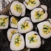 Budget friendly sushi