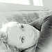 Tamara Cander