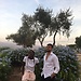 Ayoub