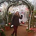Catarina