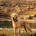 Aitor Peiret