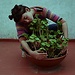 Josefina