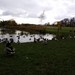 CABINTEELY PARK