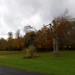 CABINTEELY PARK