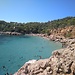 Cala salada
