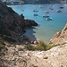 Cala tarida