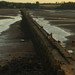 Caminando hasta la isla de Cramond