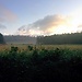Camino de Santiago