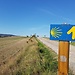 CAMINO SANTIAGO