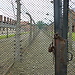 Campo de concentración de Auschwitz