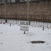 Campo di concentrazione vicino a Berlino