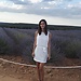 Campos de lavanda en Brihuega