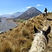 Canterbury and Marlborough - Amazing landscapes and horse trek