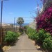 Capítulo 3. Un fin de semana en la isla de Tenerife. ¡Furgoexper