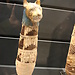 Cat mummy
