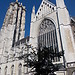 Cathedral