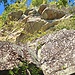 Catskill mountains