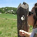 Alba