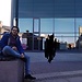 Kaan