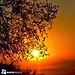 Asmaa