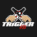 Trigger
