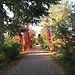 Certosa di Pavia