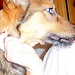 lola