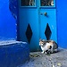 Chefchaouen marocko blue city