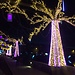 Christmas lights in Laval 
