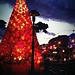 Christmas time in Sliema
