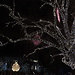 Christmas in Vienna